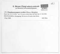 Image Associated With the Occurrence